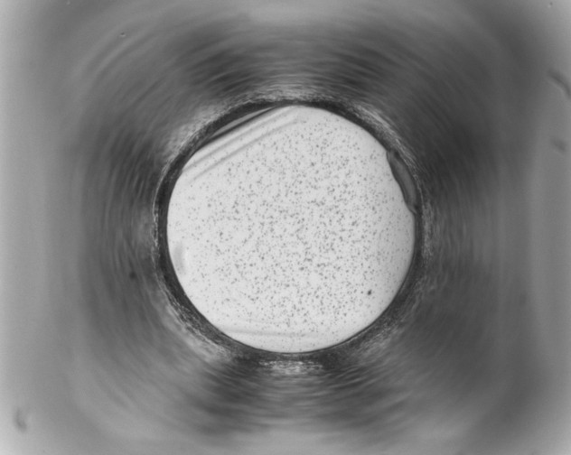 X0000102010439200808151255