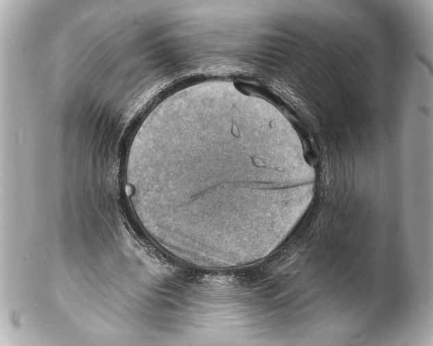 X0000102010440200808151255