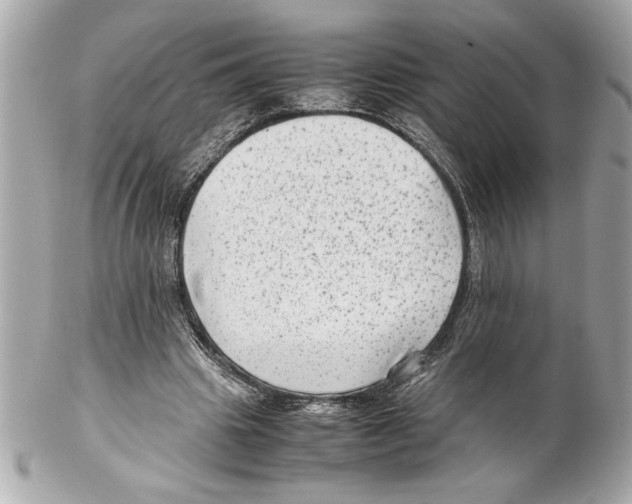 X0000102010441200808151255