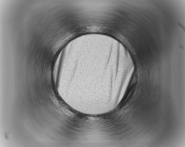 X0000102010442200808151255