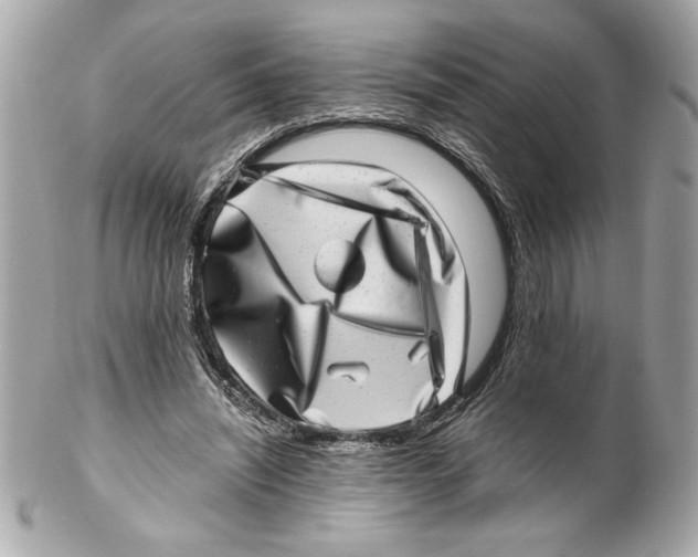 X0000102010444200808151255