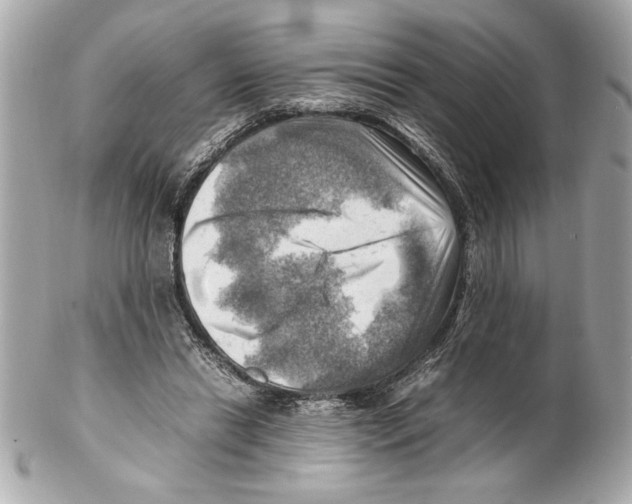 X0000102010446200808151255