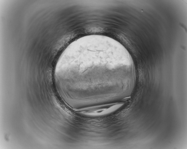 X0000102010447200808151256