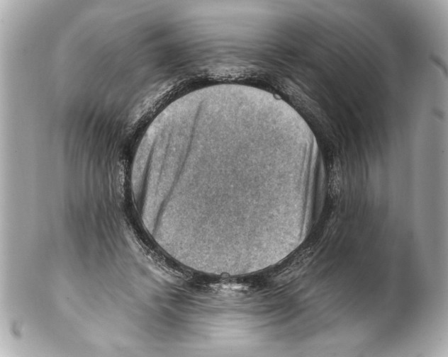 X0000102010448200808151256