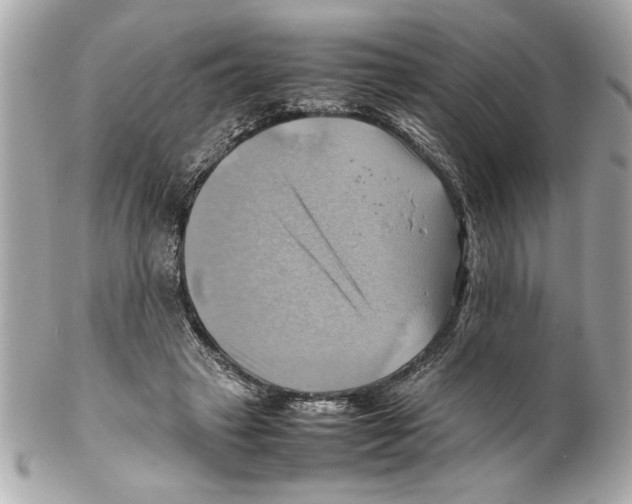 X0000102010449200808151256