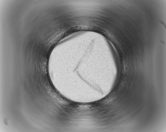 X0000102010450200808151256