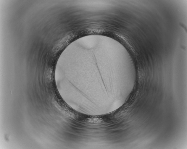 X0000102010451200808151256