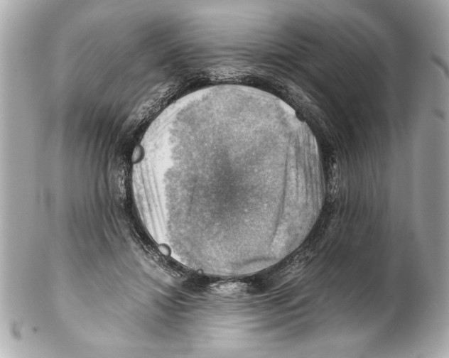 X0000102010452200808151256