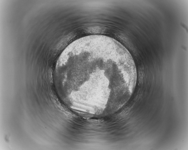 X0000102010453200808151256