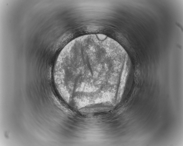 X0000102010454200808151256