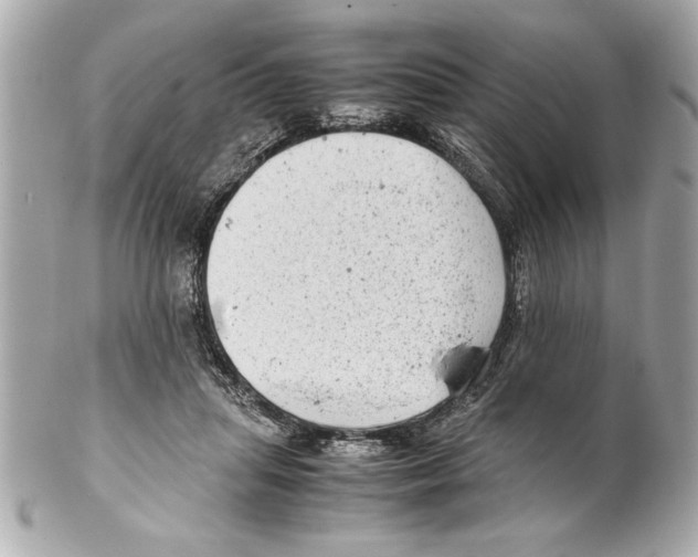 X0000102010455200808151256