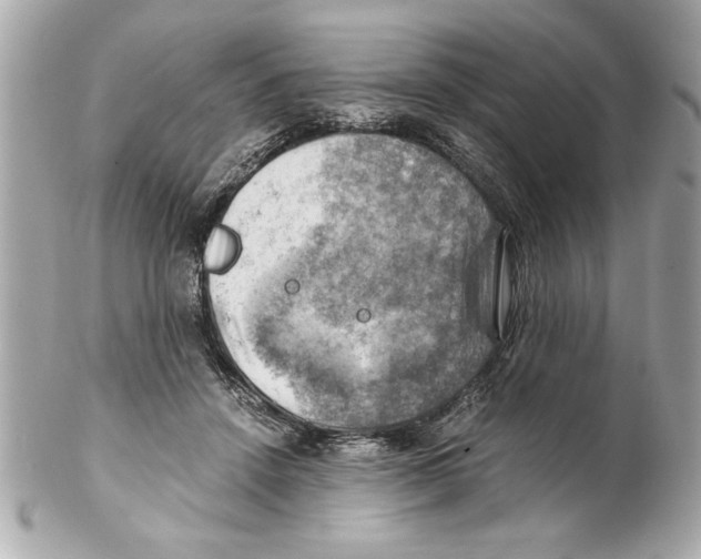 X0000102010456200808151256