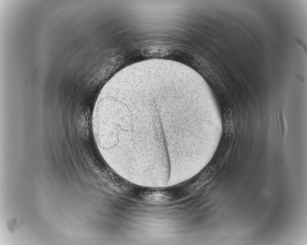 X0000102010460200808151256