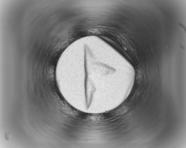 X0000102010466200808151256