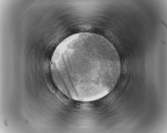 X0000102010468200808151256