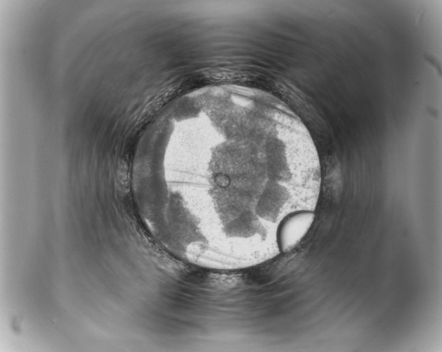 X0000102010469200808151256