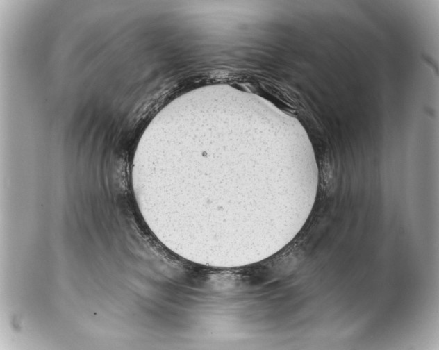 X0000102010470200808151256