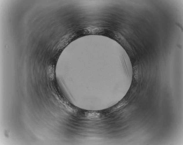 X0000102010471200808151256