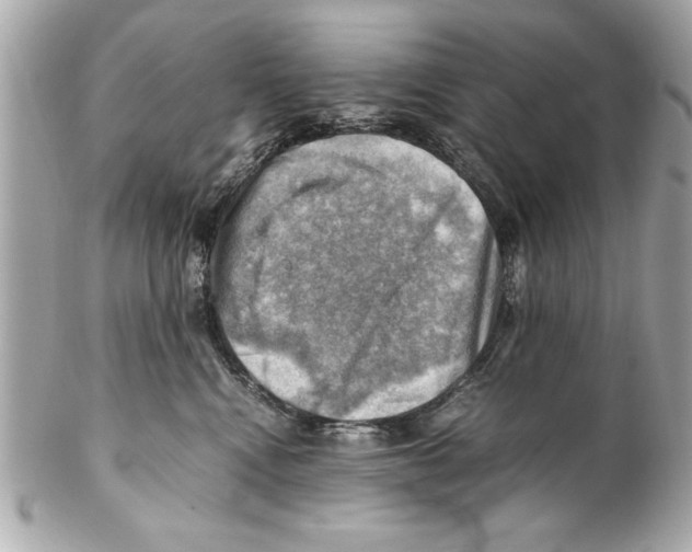 X0000102010472200808151256