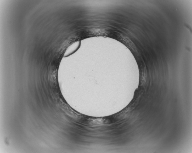 X0000102010473200808151256