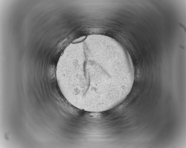 X0000102010478200808151256