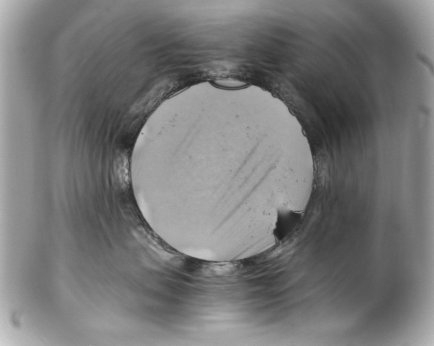 X0000102010479200808151256