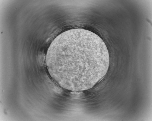 X0000102010480200808151256