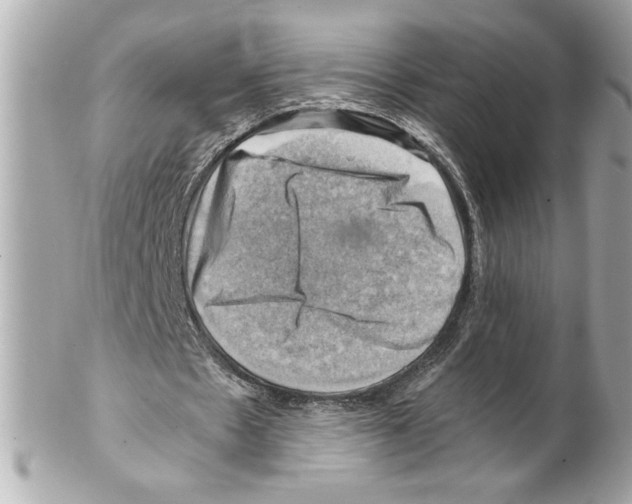 X0000102010481200808151255