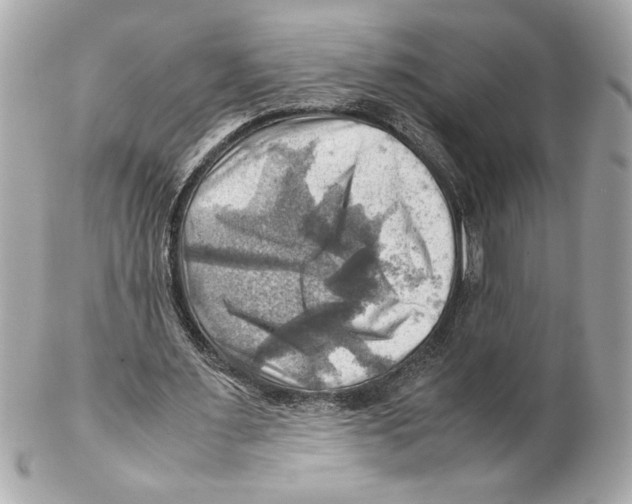 X0000102010483200808151255