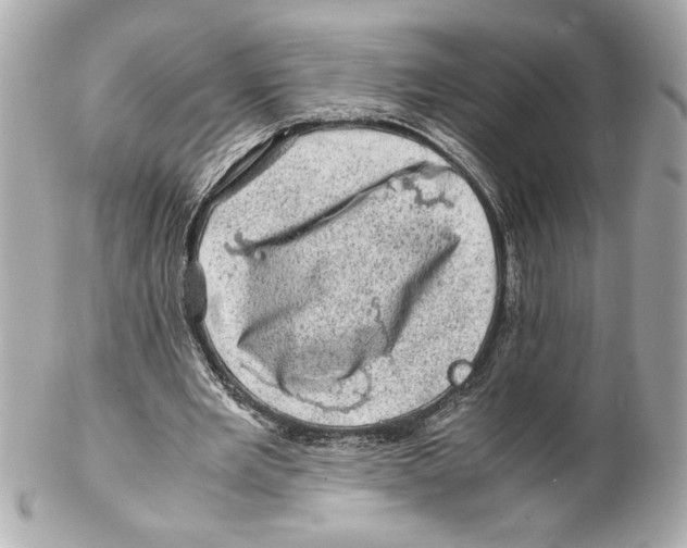 X0000102010485200808151255