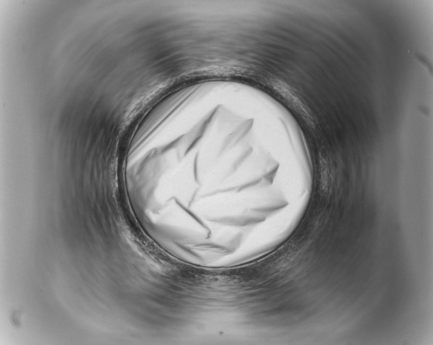 X0000102010486200808151255