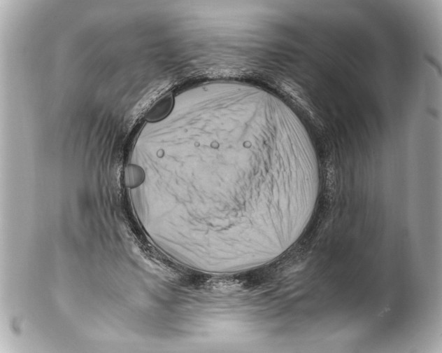 X0000102010491200808151255