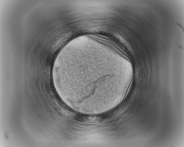 X0000102010493200808151255