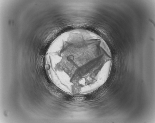 X0000102010495200808151255