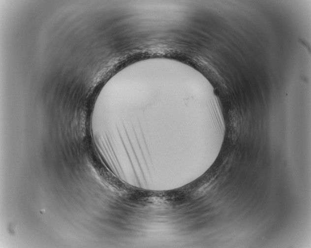 X0000102010496200808151255