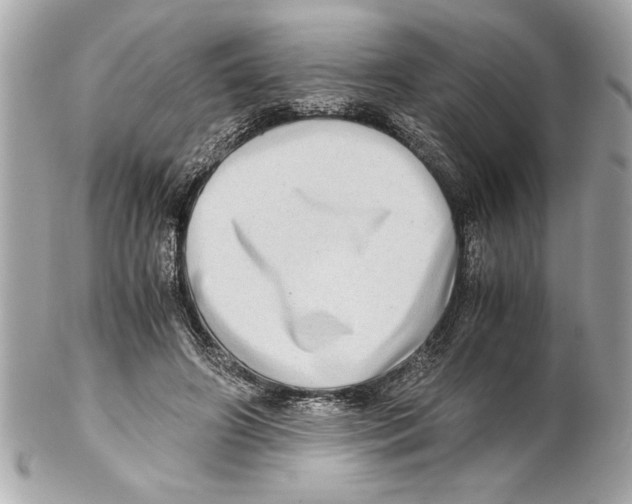 X0000102010498200808151255