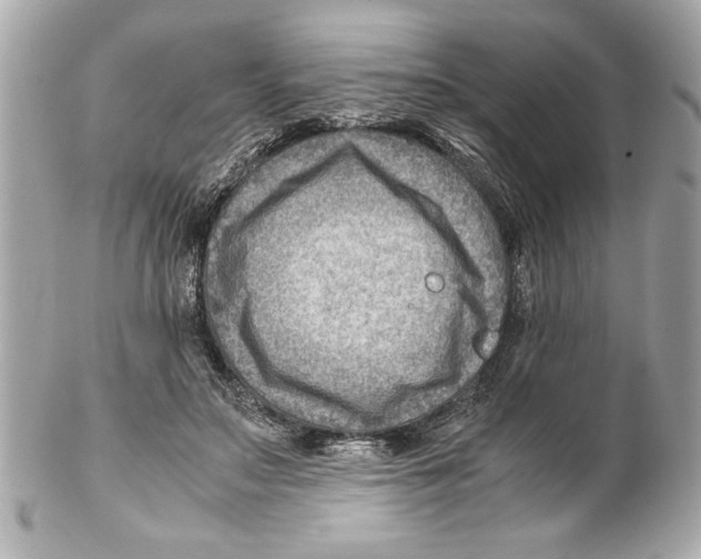 X0000102010499200808151255