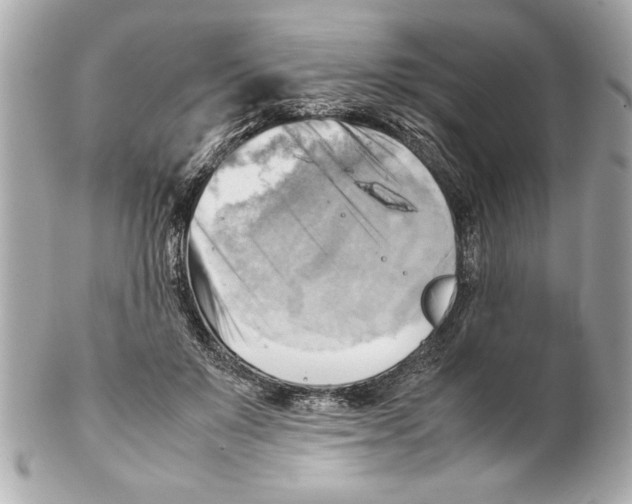 X0000102010503200808151255