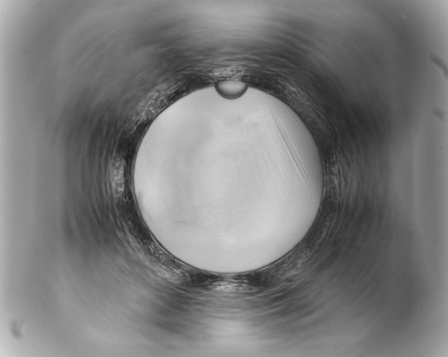 X0000102010504200808151255