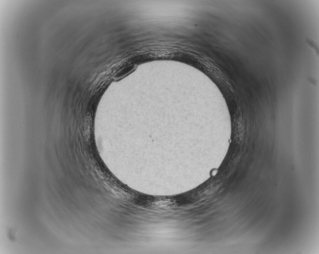 X0000102010505200808151255