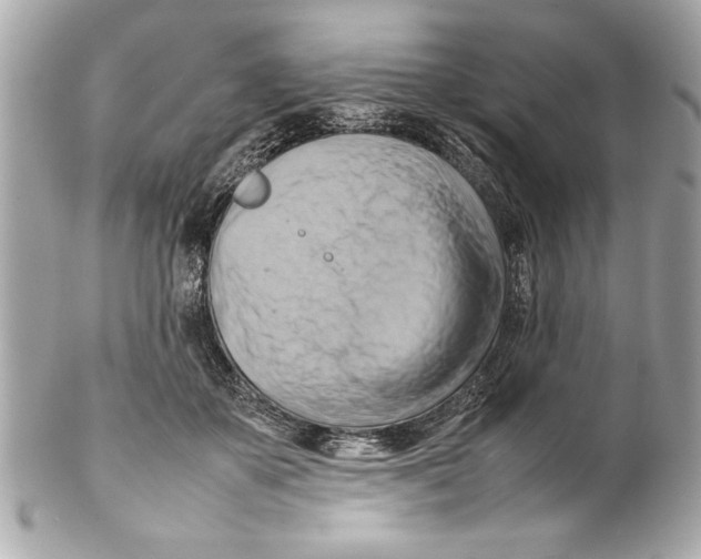 X0000102010507200808151255