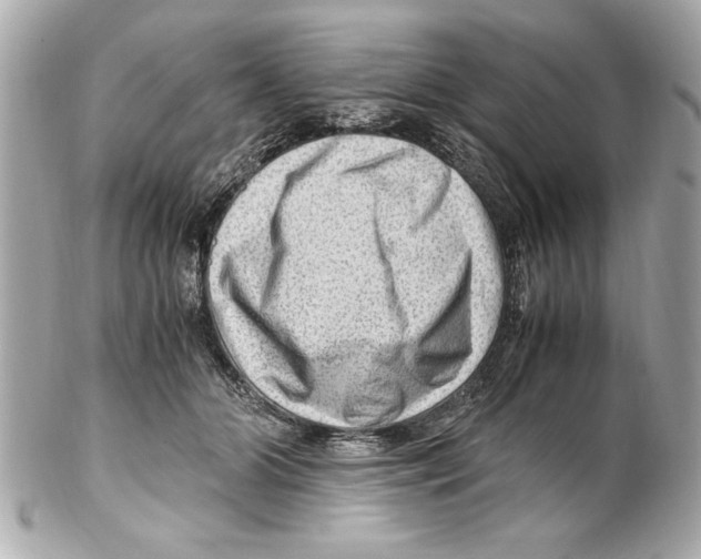 X0000102010510200808151255