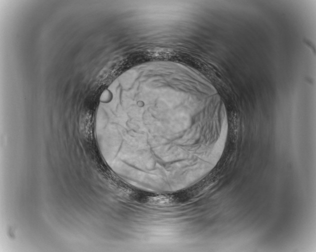 X0000102010511200808151255