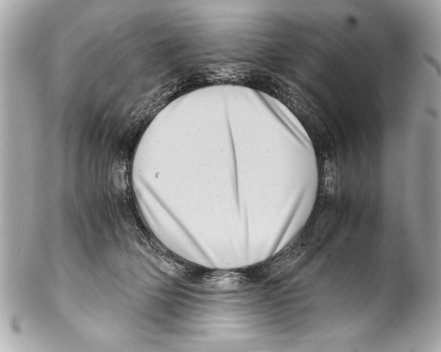 X0000102010514200808151255