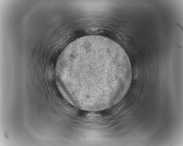 X0000102010515200808151255