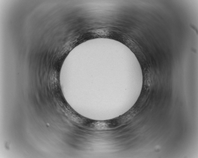 X0000102010518200808151255