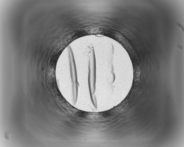 X0000102010521200808151255