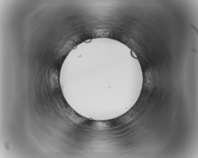 X0000102010522200808151255