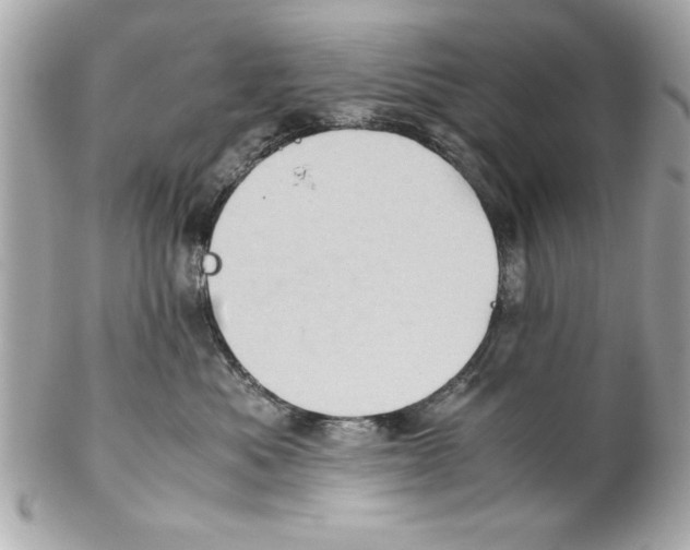 X0000102010525200808151255