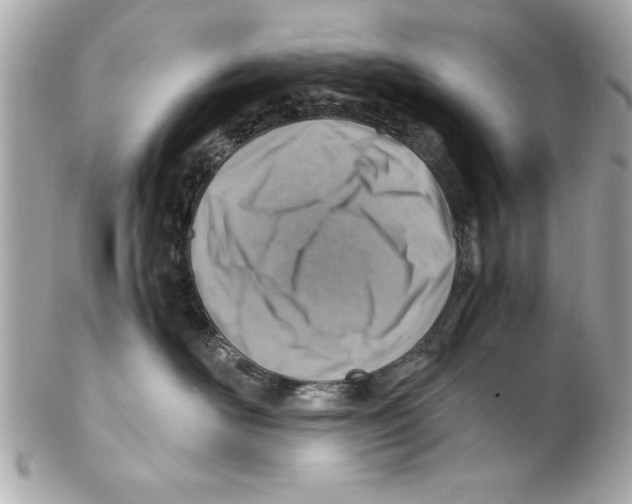 X0000102010526200808151255